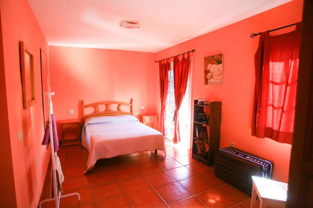 La Maison Du Surfeur Costa Adeje  Homestay Costa Adeje (Tenerife)